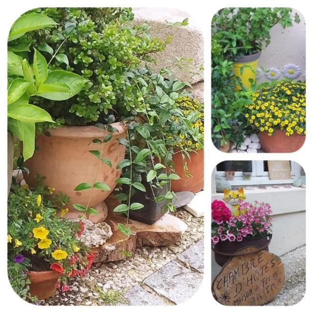 La Maison Des Fleurs Scrignac Eksteriør billede